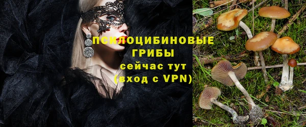 марки nbome Беломорск