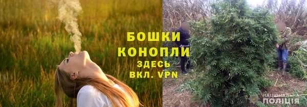 PSILOCYBIN Белоозёрский