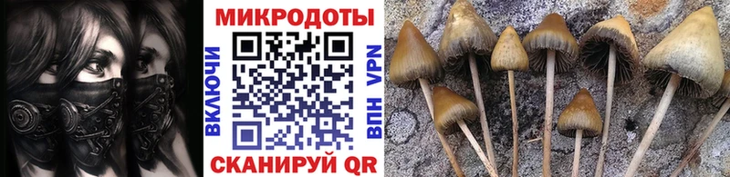 Галлюциногенные грибы Magic Shrooms  Белорецк 