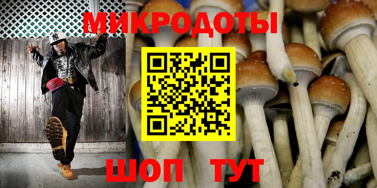 Галлюциногенные грибы Cubensis Белорецк